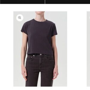 Agolde Adine Shrunken Tee in Shade